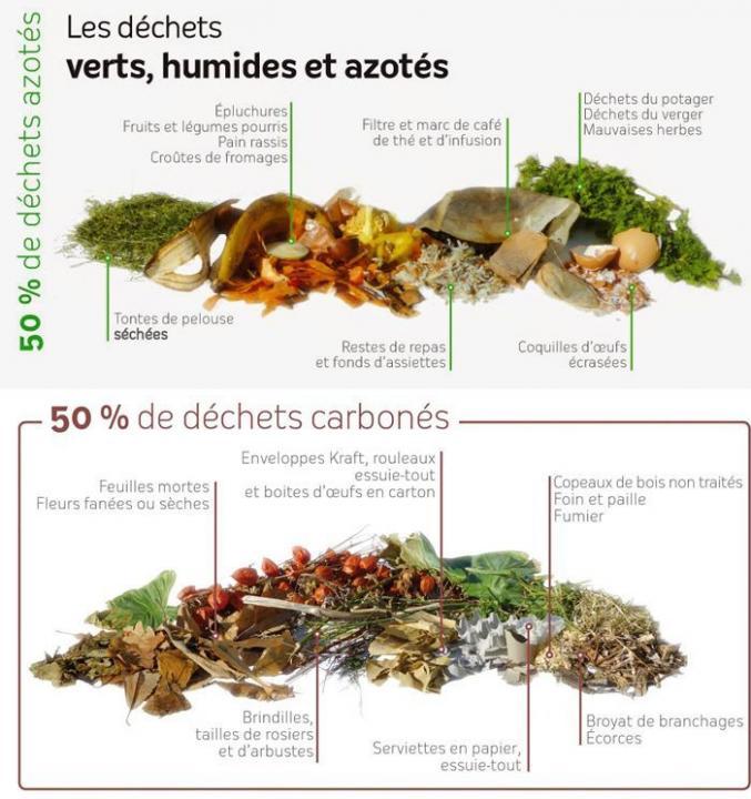 Compost R Gles Importantes Pour Bien Recycler Ses D Chets Organiques