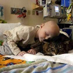 animaux pour soulager les enfants malades du cancer