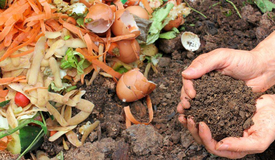 Intégrer ses déchets verts au compost - Le site plein de ressources pour  s'engager dans une consommation responsable.